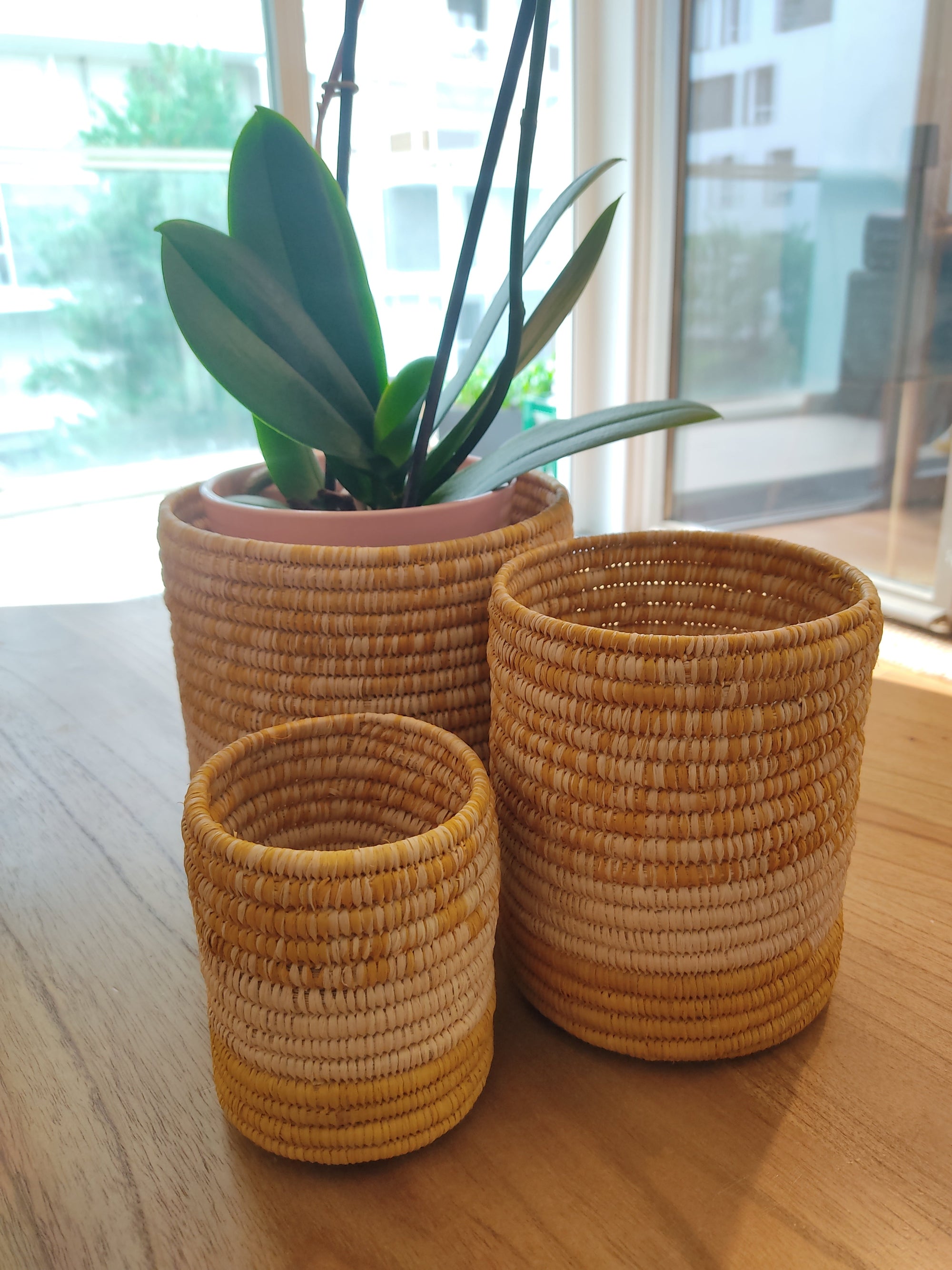 Décorer son intérieur avec du raphia : le guide pour une maison naturelle, chaleureuse et singulière